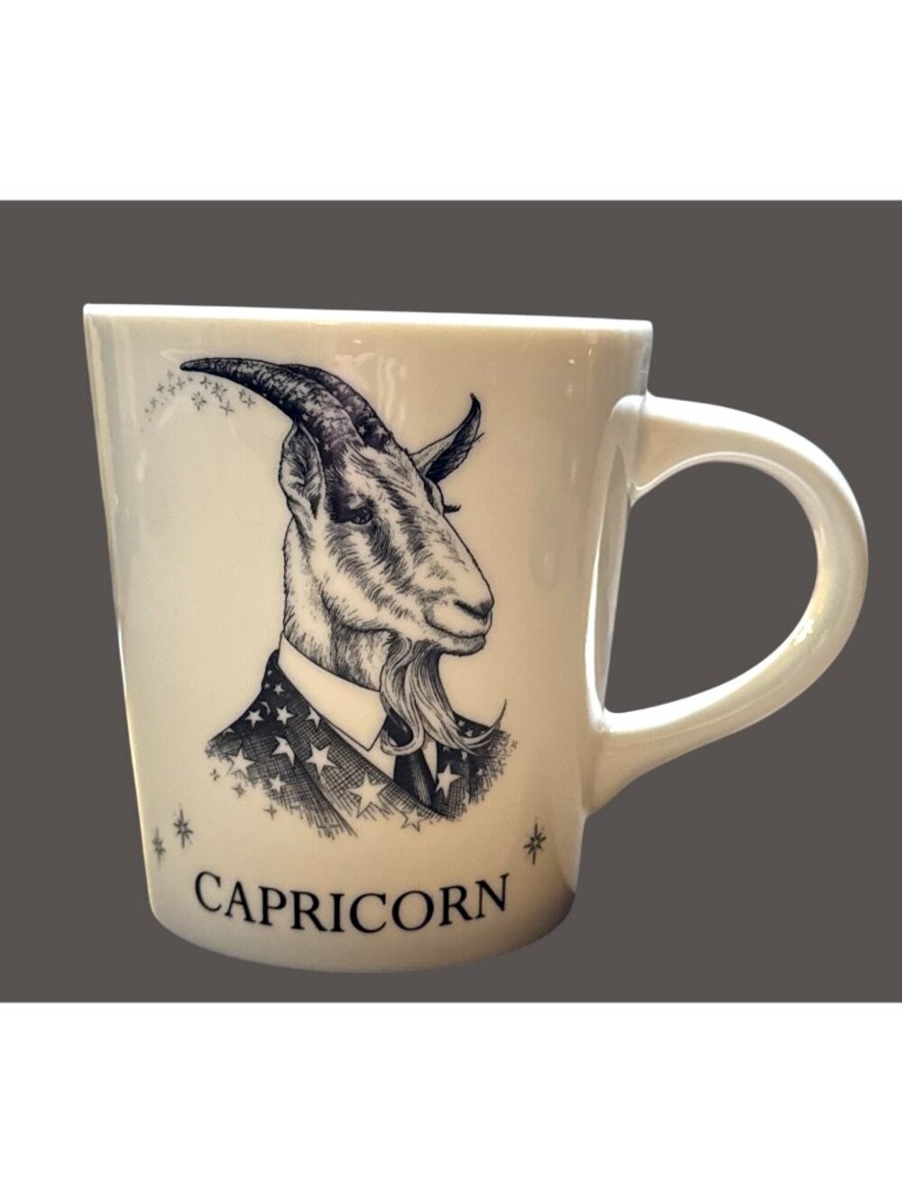 CAPRICORN Astrology Zodiac Mug. Williams Sonoma by Artist Rory Dobner